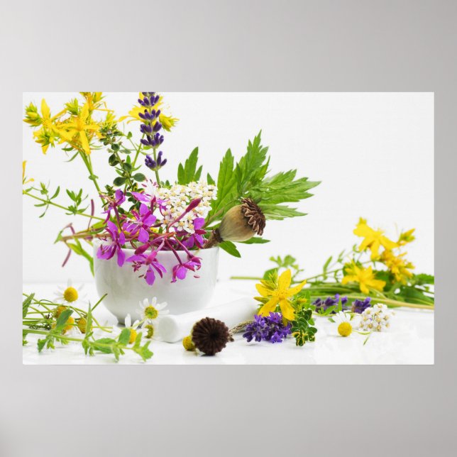 Poster Jardim de erva (Frente)