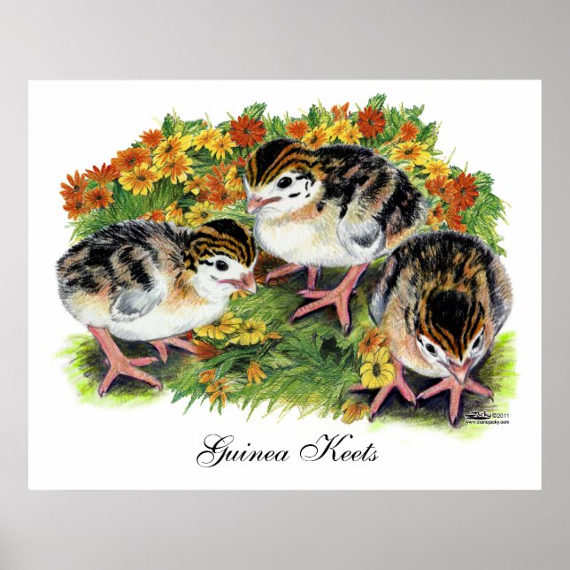 Póster Jardim de Flores de Pintinhos (Frente)