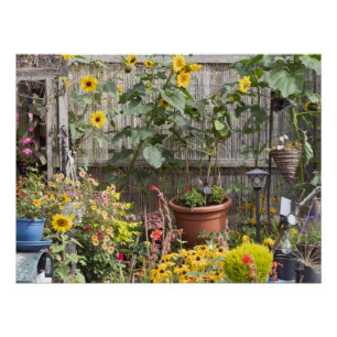 Póster Jardim de flores e barco estreito