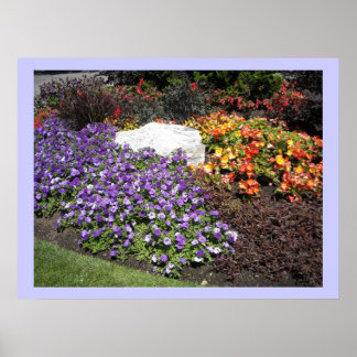 Póster Jardim de Flores Elegante