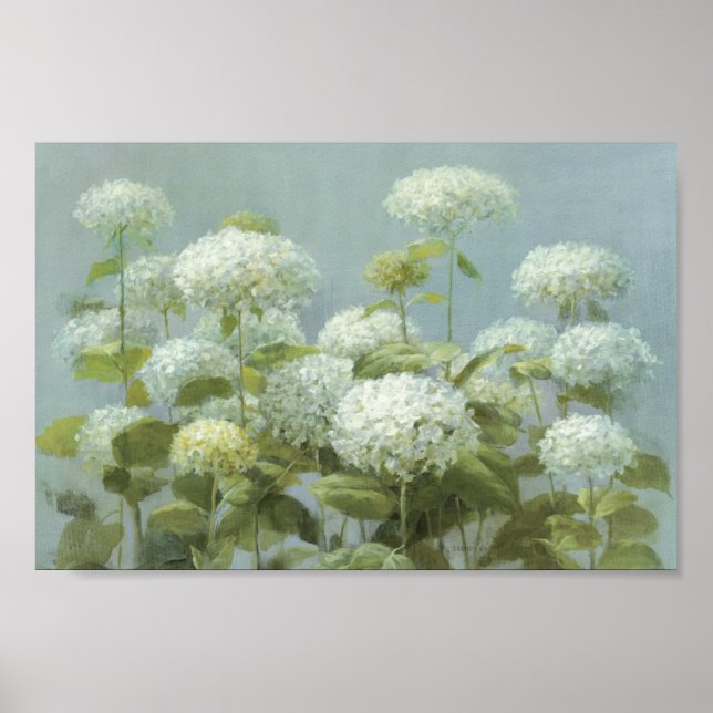 Póster Jardim de Hydrangea Branco (Frente)