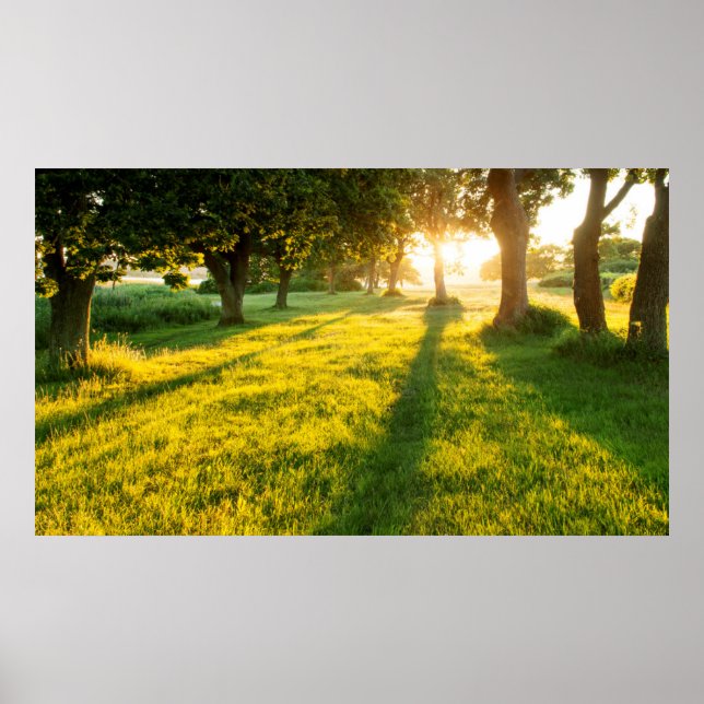Poster Jardim De Oak Eden (Frente)