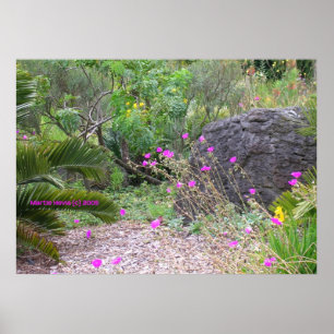 Poster Jardim de Poppies Rosa