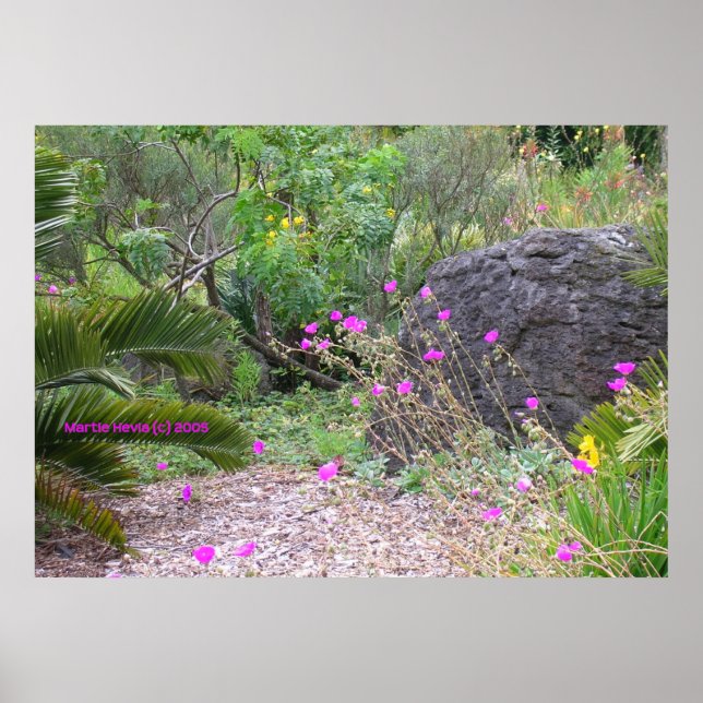 Poster Jardim de Poppies Rosa (Frente)