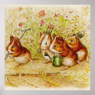Poster Jardim de Porcos da Guiné, de Beatrix Potter