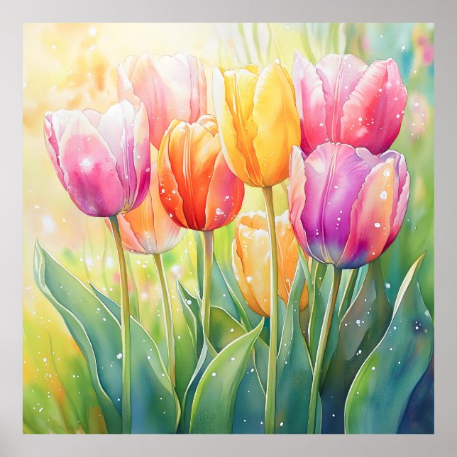 Poster Jardim de Tulipas de Primavera de Aquecedora (Frente)