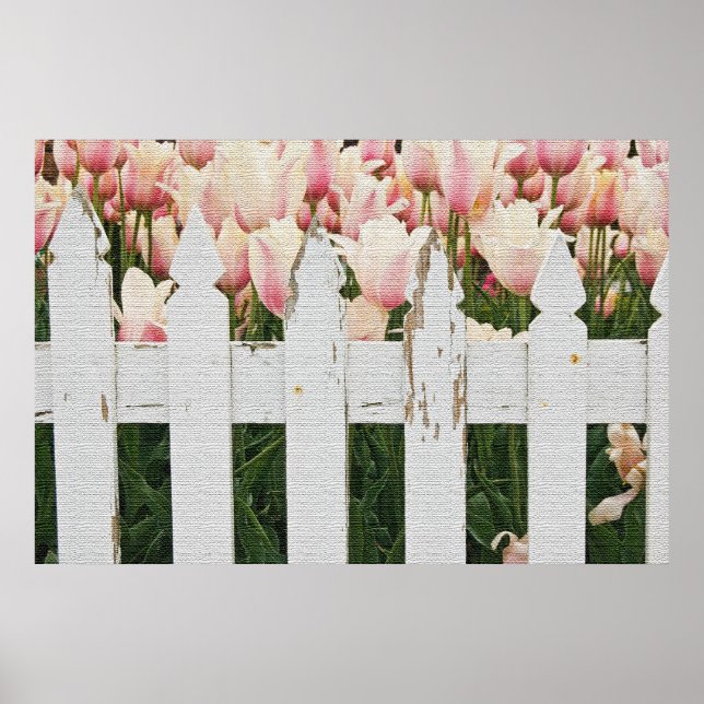 Póster Jardim de Tulipas Rosa Holandês (Frente)