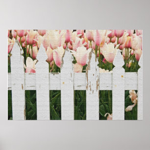 Póster Jardim de Tulipas Rosa Holandesa
