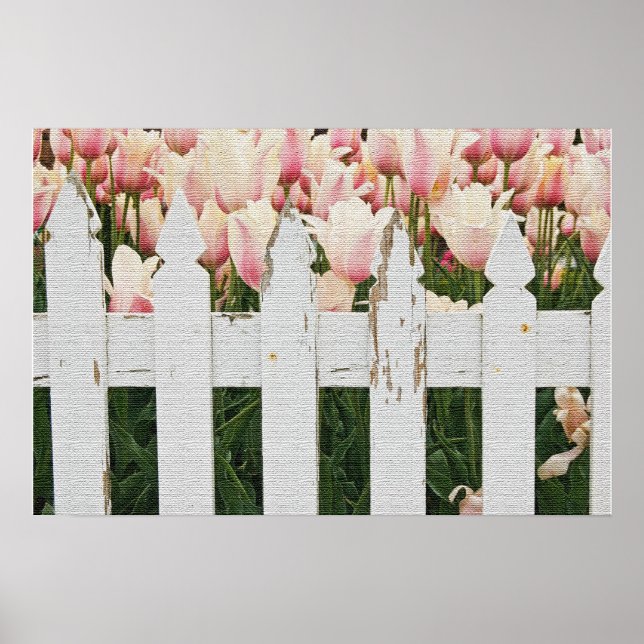 Póster Jardim de Tulipas Rosa Holandesa (Frente)