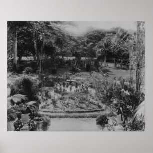 Póster Jardim de uma casa de campo suburbana
