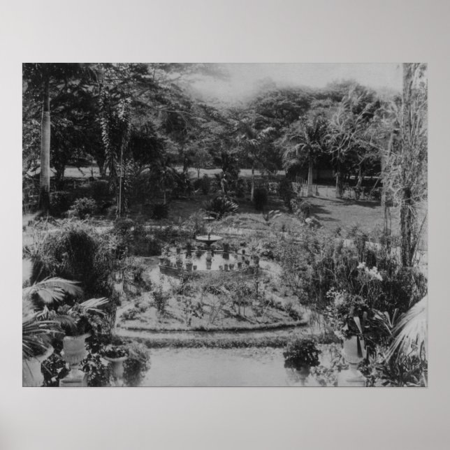 Póster Jardim de uma Vila Suburbana (Frente)