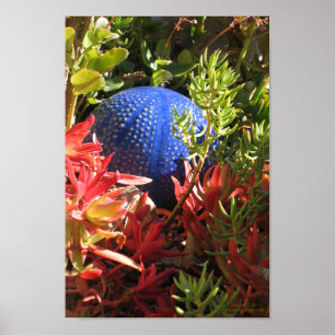 Póster Jardim de xícara submarina do Succulto