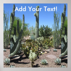 Poster Jardim do cacto da arizona