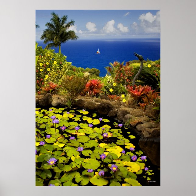Poster Jardim do Éden - Maui - Havaí (Frente)