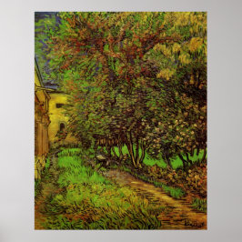Póster Jardim do Hospital Santo-Paul de Vincent van Gogh