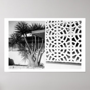 Póster Jardim do meio século