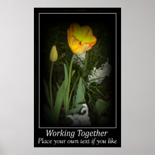 Póster Jardim do primavera da tulipa que trabalha junto a