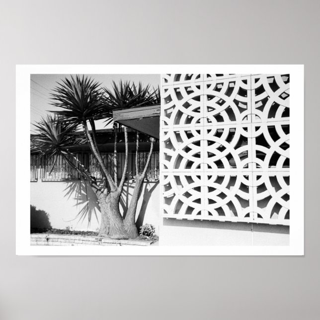 Póster Jardim do século médio (Frente)