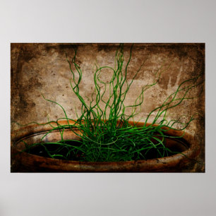 Póster Jardim do verde