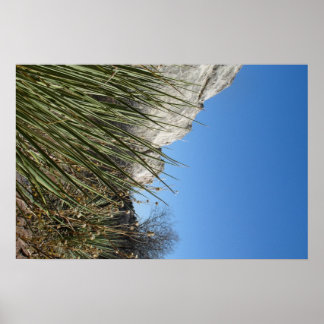 Poster Jardim dos Deuses