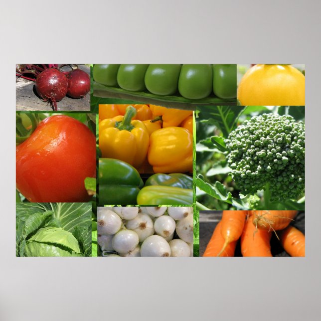 Póster Jardim dos Quintais (Frente)