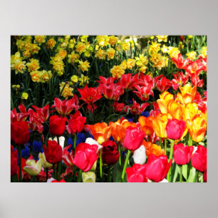 Póster Jardim ensolarado