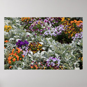 Poster Jardim ensolarado