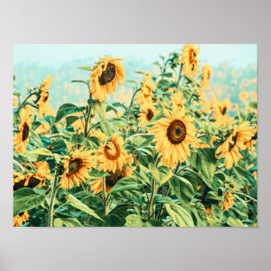 Poster Jardim Floral Amarelo de Sunflower