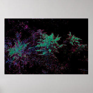 Poster Jardim fluorescente