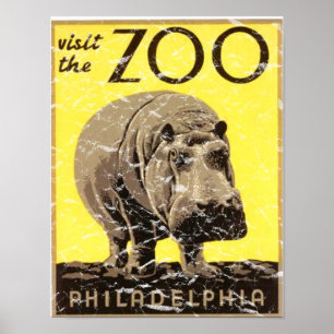 Poster Jardim-Hipopótamo de Philadelphfia afligido