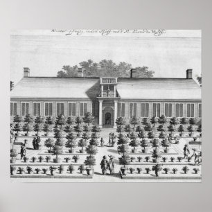 Póster Jardim holandês, de "De Nederlandze Hesperides"