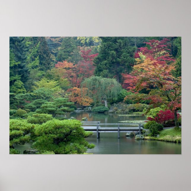 Póster Jardim Japonês no Washington Park (Frente)