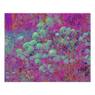 Póster Jardim Magenta com Flores de Hortênsia Aqua