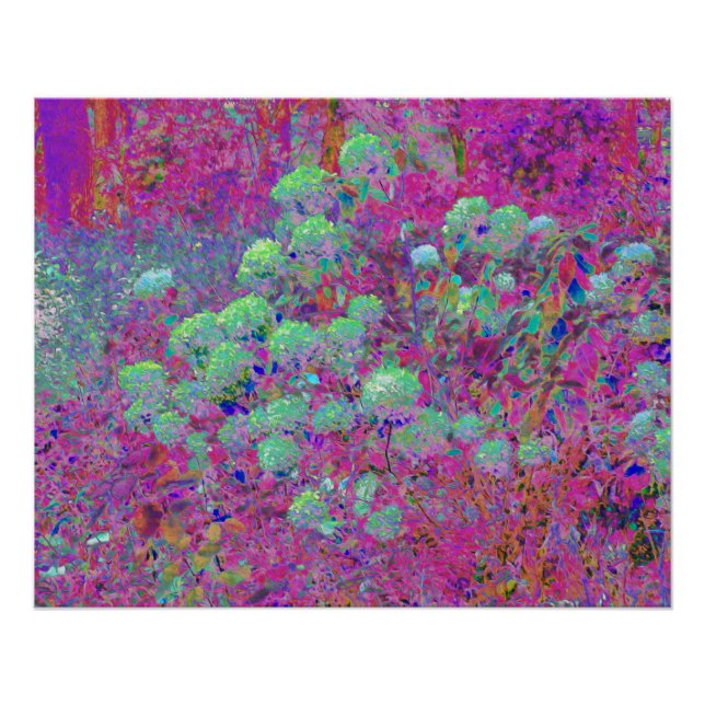 Póster Jardim Magenta com Flores de Hortênsia Aqua (Frente)