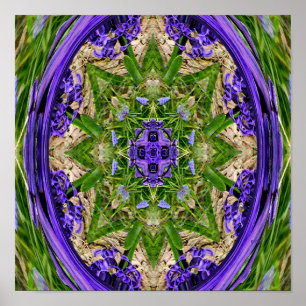 Poster Jardim Narciso.....
