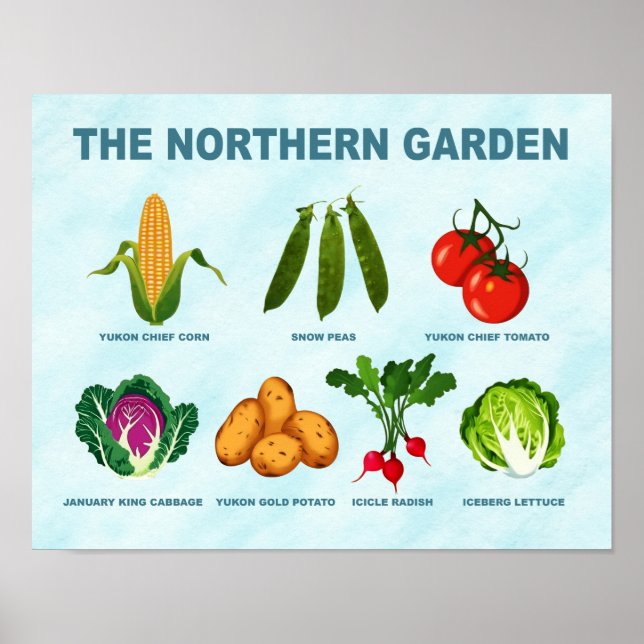 Poster Jardim norte vegetal (Frente)