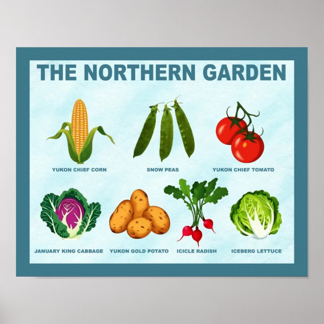 Poster Jardim norte vegetal (Frente)