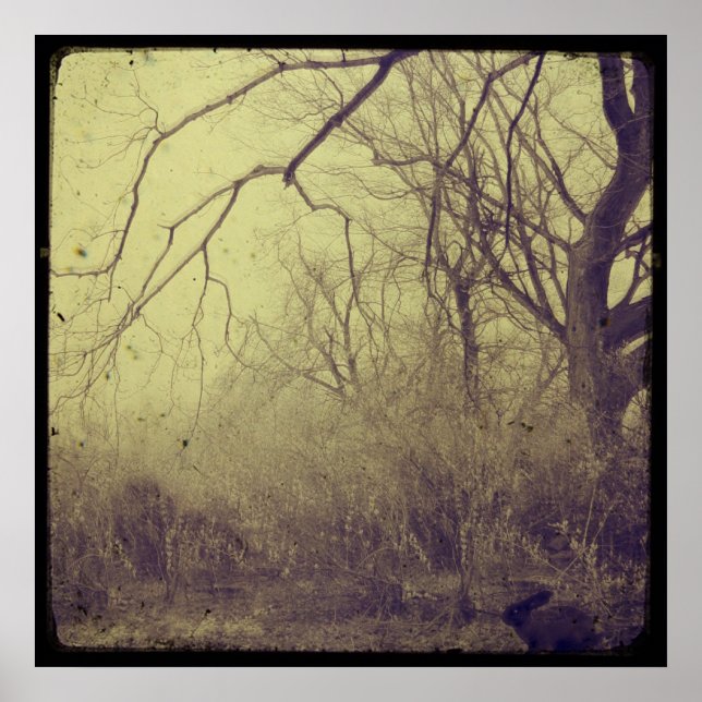 Poster Jardim Secreto (Frente)