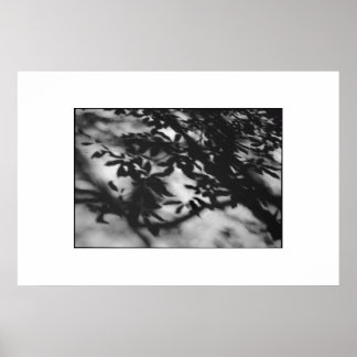 Poster Jardim Secreto