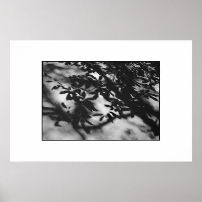 Poster Jardim Secreto (Frente)