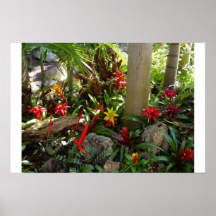 Póster Jardim tropical