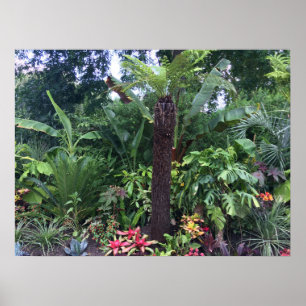 Poster Jardim Tropical