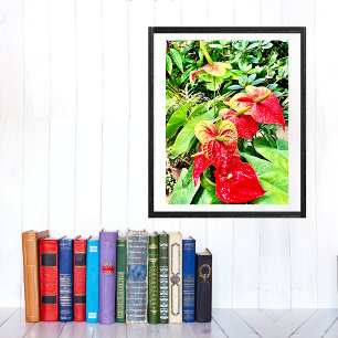 Poster Jardim Tropical de Flor Vermelho