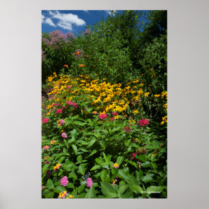 Poster Jardim verde luxúria