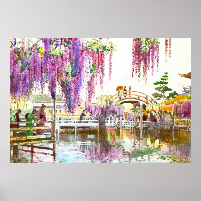 Poster Jardim Wisteria 1908 (Frente)
