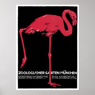 Póster Jardim zoológico cor-de-rosa de Munich do flaming