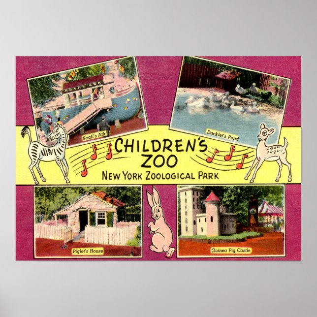 Póster Jardim Zoológico Infantil, Jardim Zoológico Bronx, (Frente)