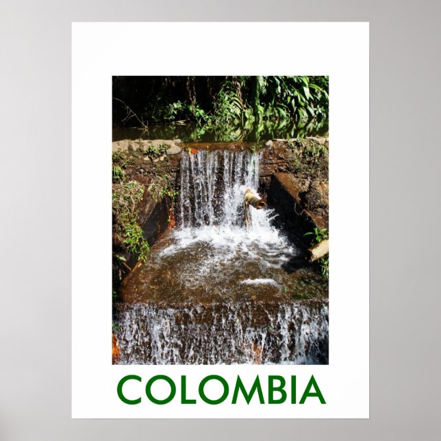 PÓSTER JARDIN BOTANICO, MARSELLA (Frente)