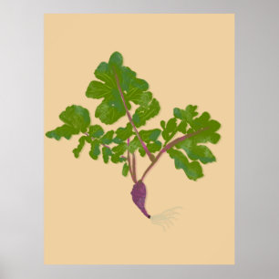 Poster Jardineiras de Nabos Agrícolas