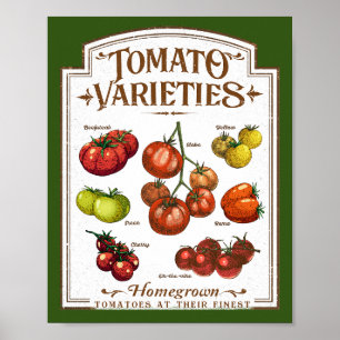Poster Jardineiro de tomate, Horticultura de tomate